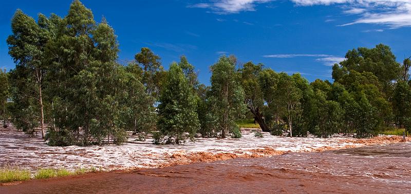 _MG_4346mp.jpg - Todd River in Flood - Alice Springs